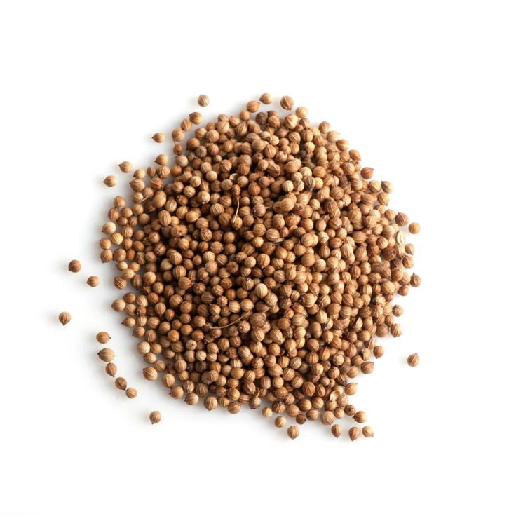 Coriander Seeds